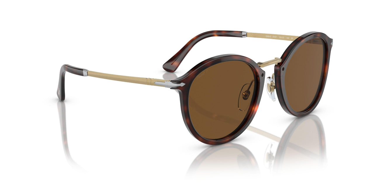 24/57 - Tortoise - Polar Brown