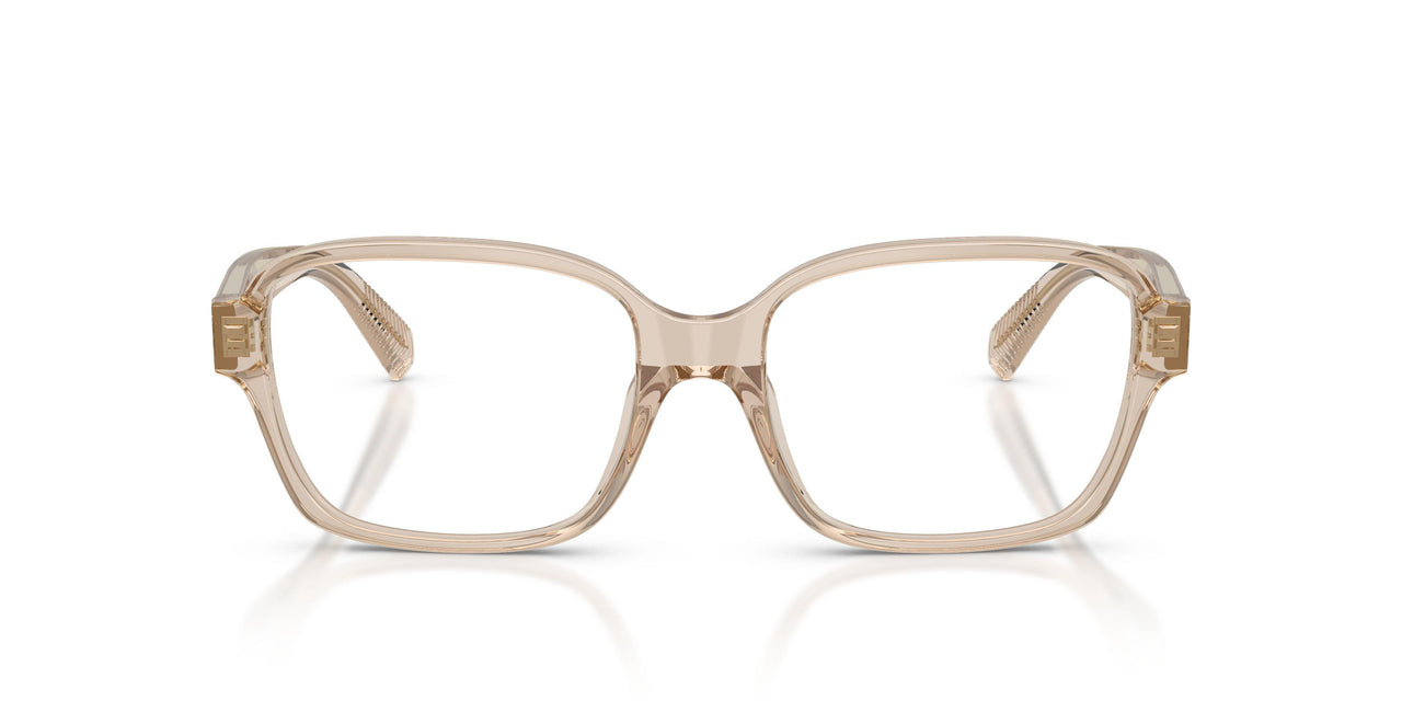 8445 - Brown