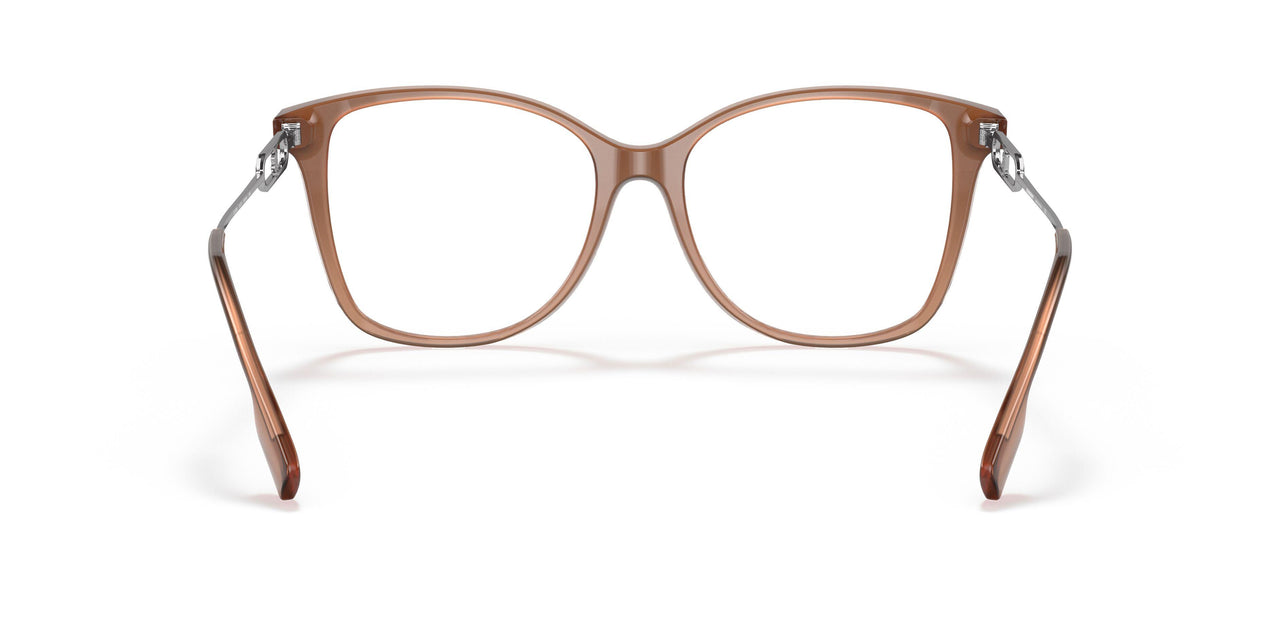3173 - Brown