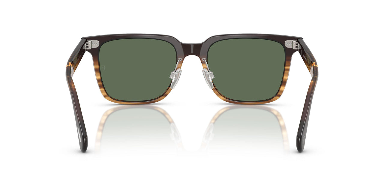 13929A - Brown - G-15 Polarized