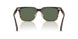 13929A - Brown - G-15 Polarized