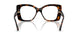 5002 - Tortoise