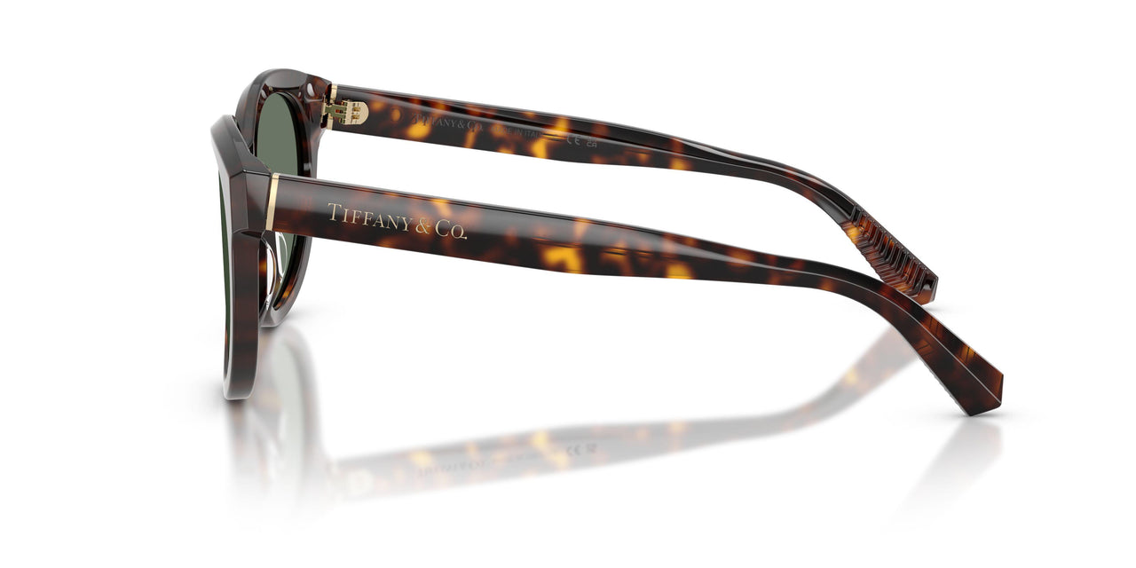 80153H - Tortoise - Dark Green
