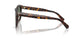 80153H - Tortoise - Dark Green