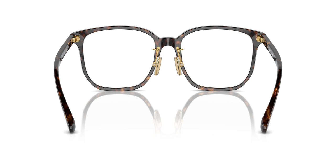 W656 - Brown