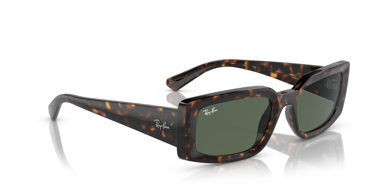 135971 - Tortoise - Grey Black