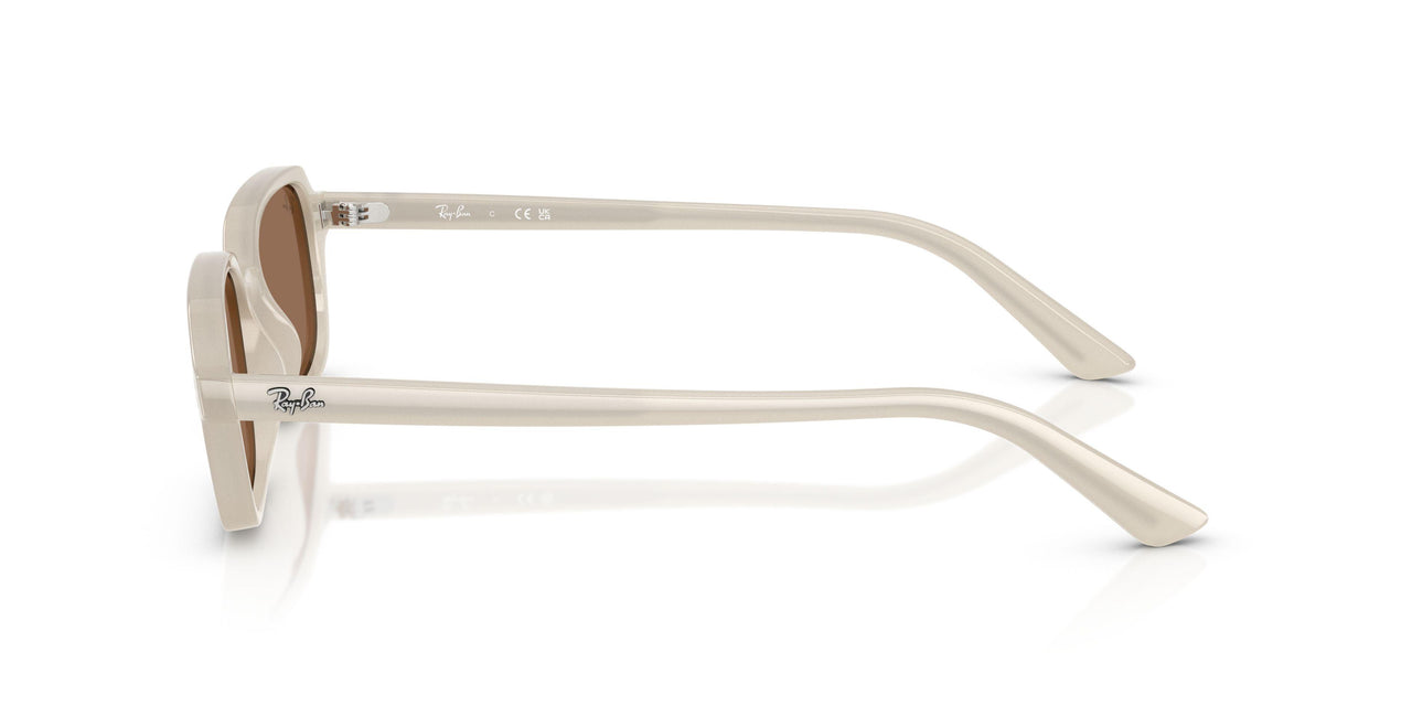 680873 - White - Dark Brown