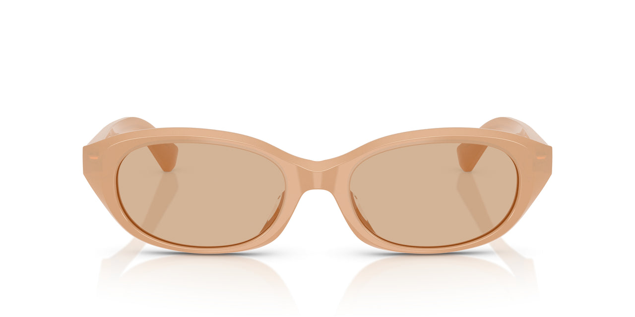 415073 - Beige - Dark Brown