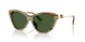 347571 - Green - Dark Green