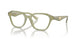 6116 - Green