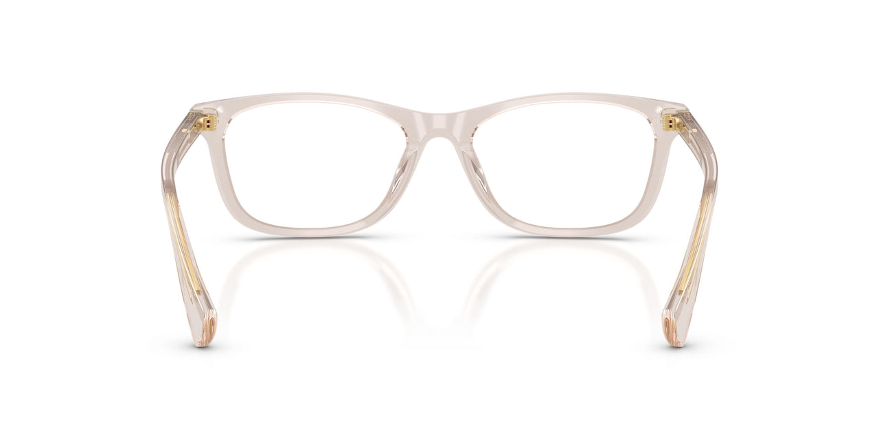 6117 - Brown