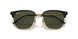 601/31 - Black - Green