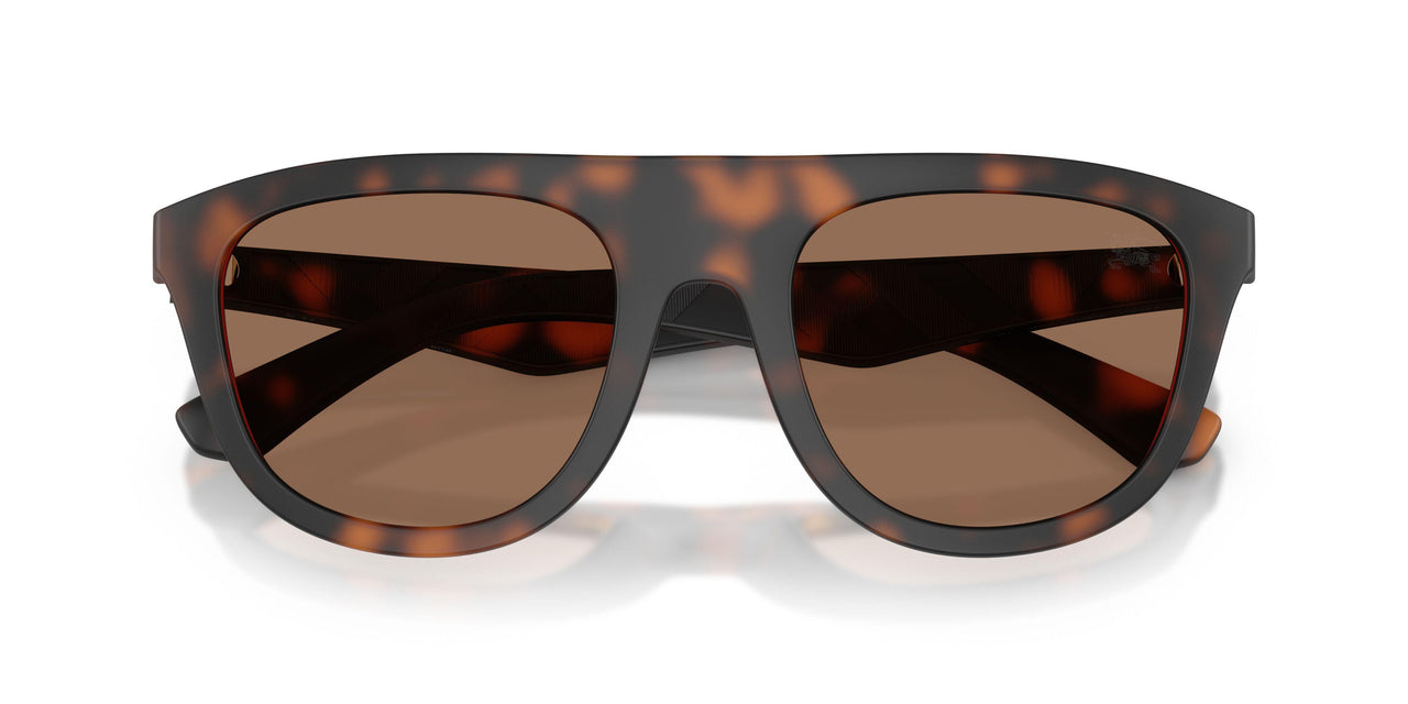 353673 - Tortoise - Dark Brown