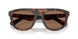 353673 - Tortoise - Dark Brown