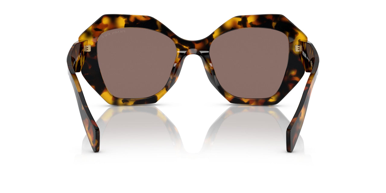 VAU05C - Havana - Polar Light Brown