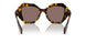 VAU05C - Havana - Polar Light Brown