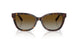 8015T5 - Tortoise - Polar Brown Gradient