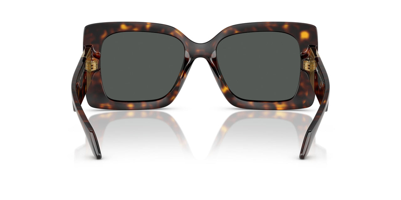 108/87 - Tortoise - Dark Grey