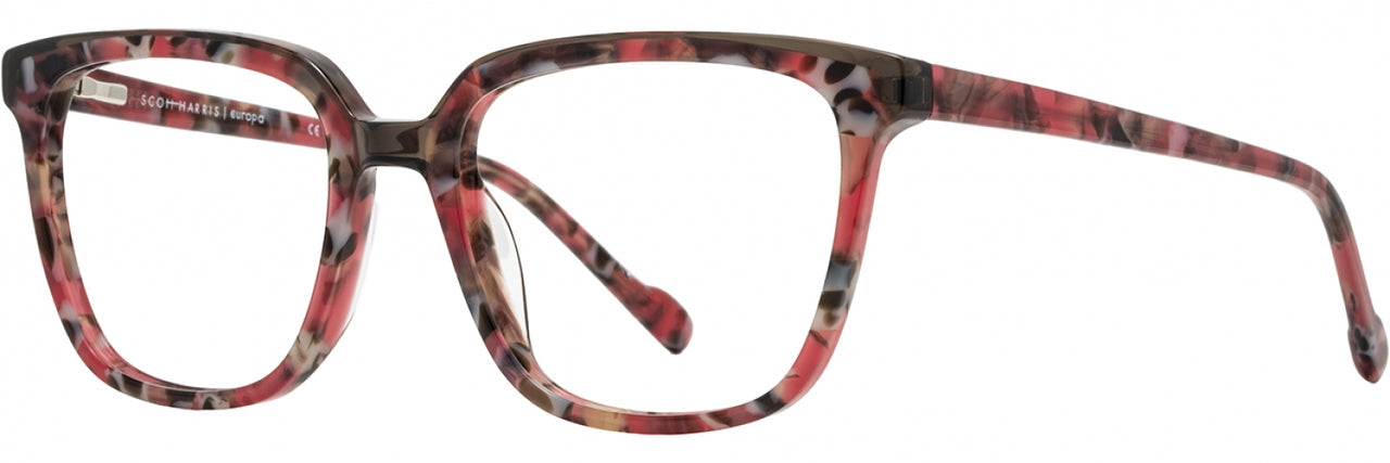 2 - Blush Tortoise