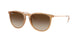 681413 - Brown - Gradient Brown