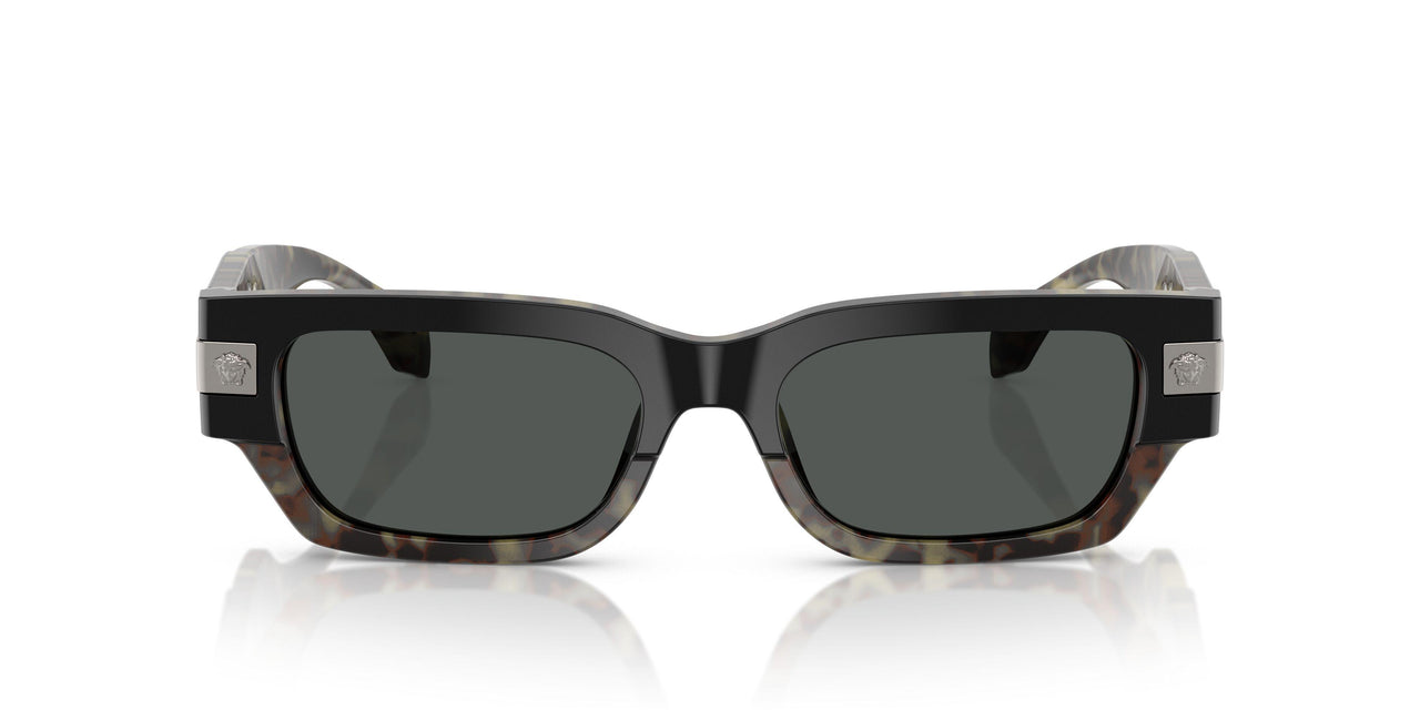 545687 - Tortoise - Dark Grey