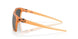 910019 - Brown - Prizm Black Polar