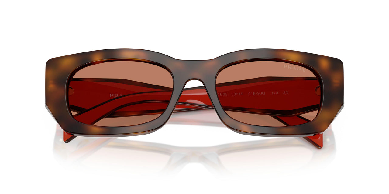 01K90Q - Tortoise - Brown