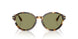 623214 - Tortoise - Green
