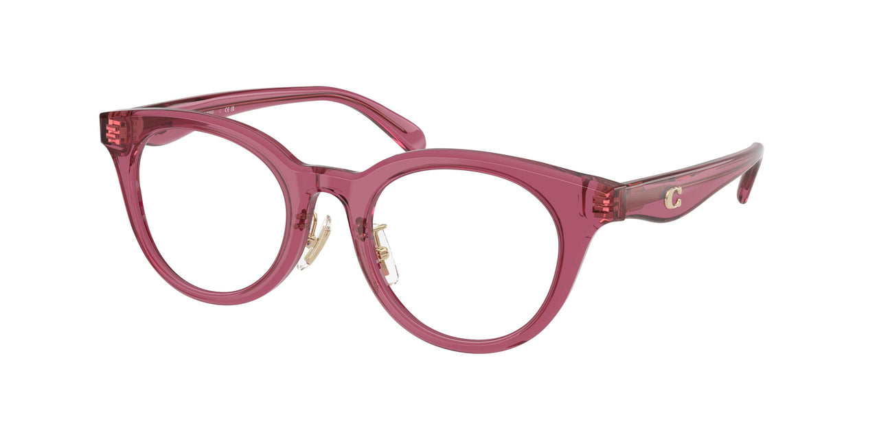 Coach 6280D Eyeglasses