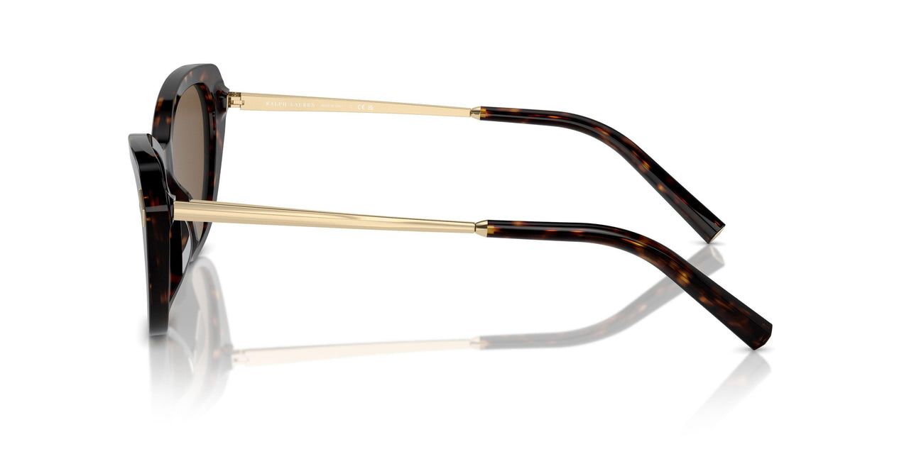 500373 - Brown - Brown