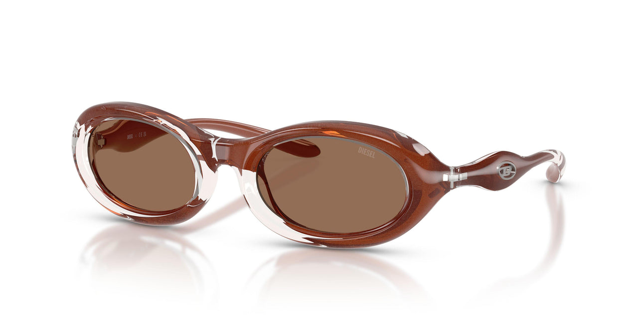 203373 - Clear - Dark Brown