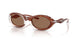 203373 - Clear - Dark Brown