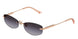 Jimmy Choo 4013D Sunglasses