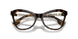 3002 - Brown