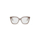 045 - Shiny Brown - DEMO