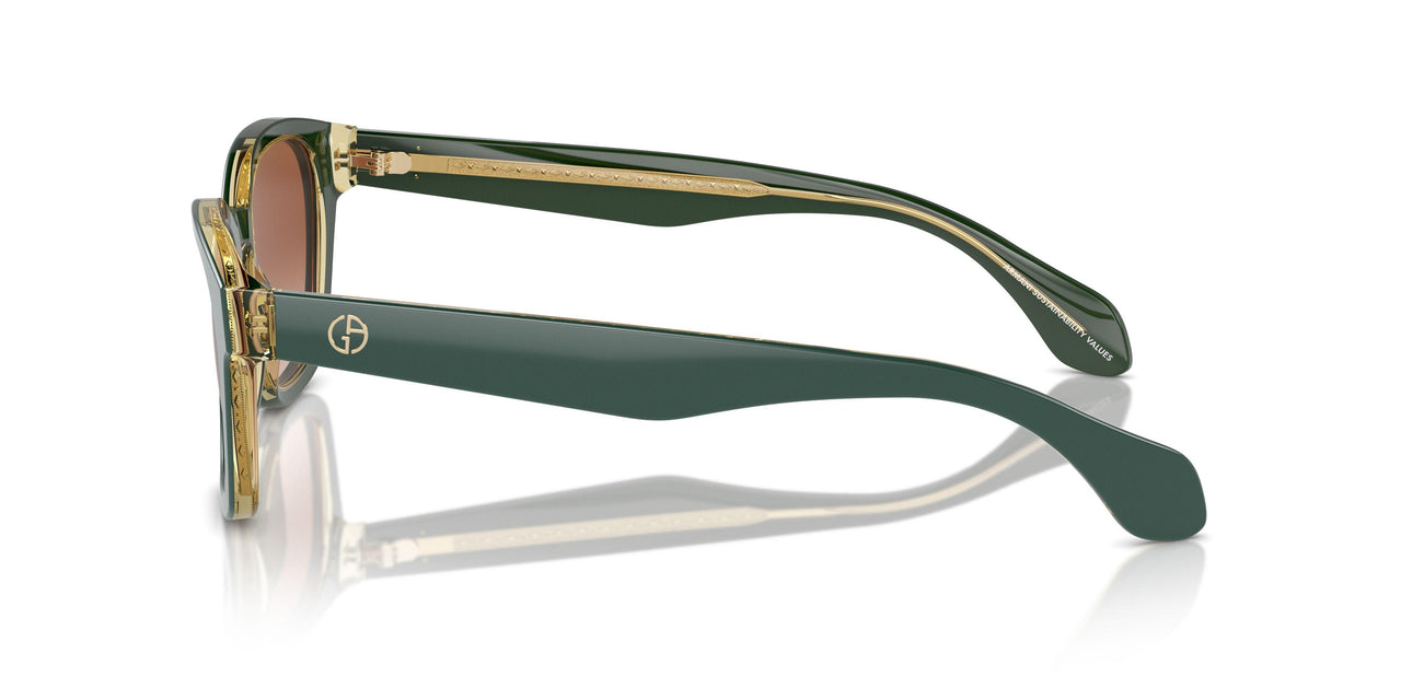 608613 - Green - Gradient Brown
