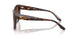 502613 - Tortoise - Brown Gradient