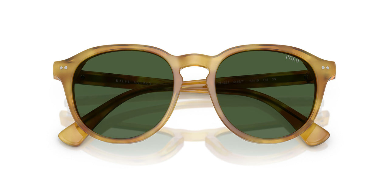 618571 - Tortoise - Bottle Green