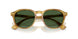 618571 - Tortoise - Bottle Green