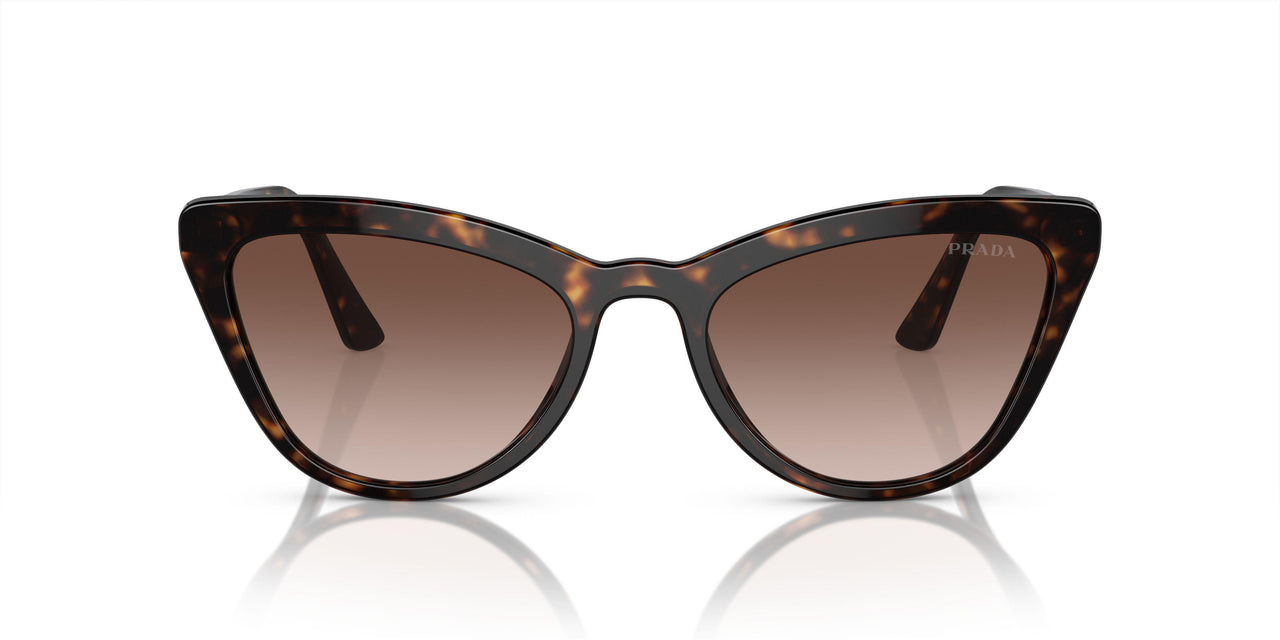 2AU6S1 - Havana - Brown Gradient