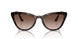 2AU6S1 - Havana - Brown Gradient