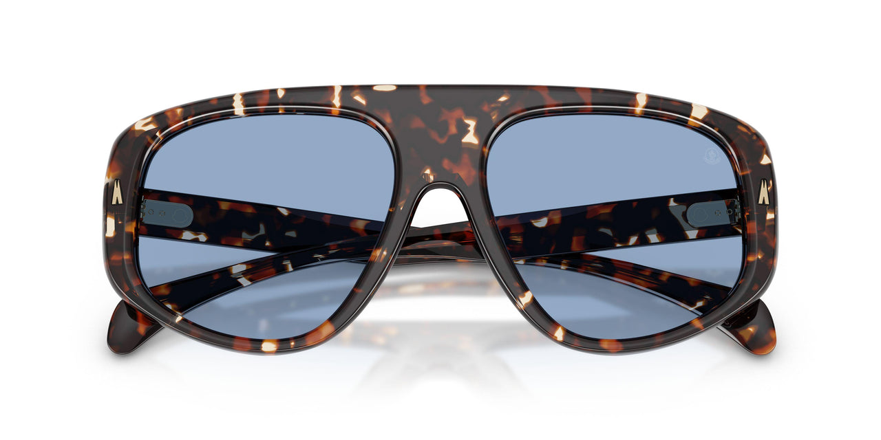 304880 - Tortoise - Solid Light Blue
