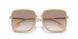134913 - Brown - Brown Gradient