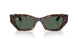 135971 - Tortoise - Dark Green