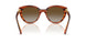 1508T5 - Brown - Grey Gradient Brown Polar