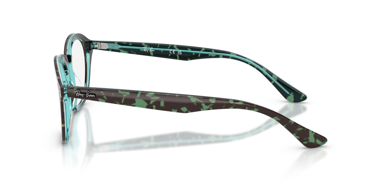 8486 - Tortoise - Clear