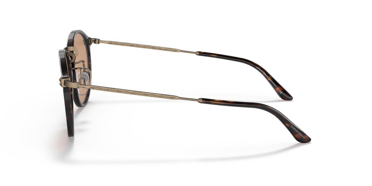 502653 - Havana - Brown