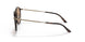 502653 - Havana - Brown