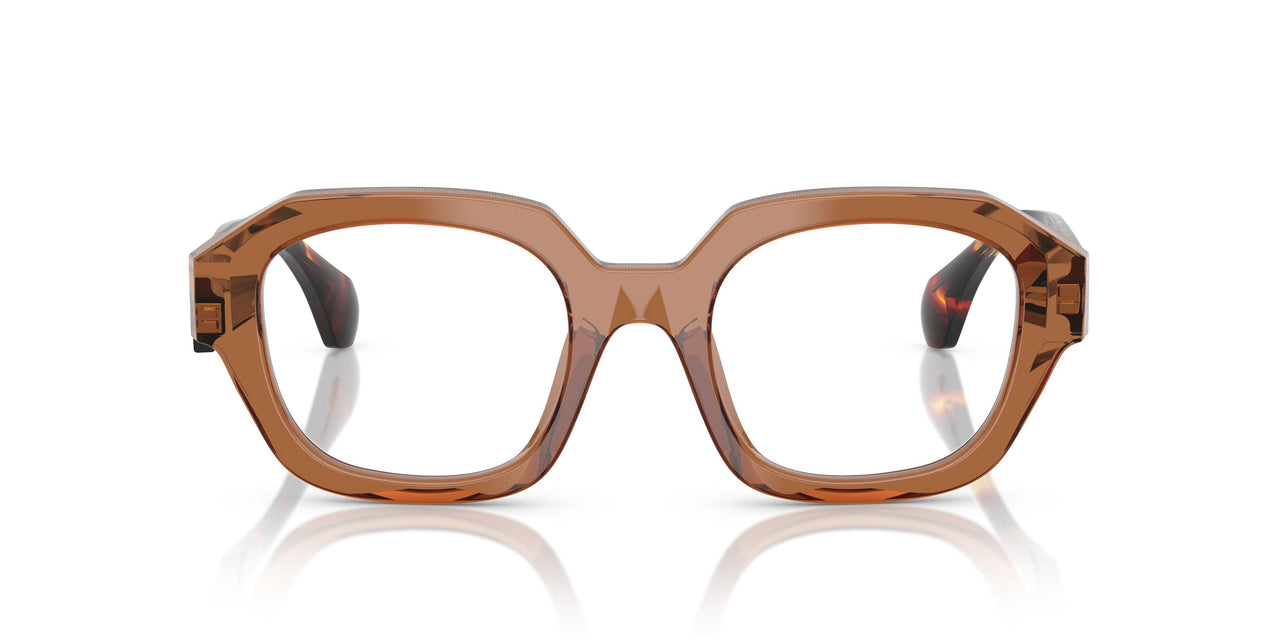 002 - Brown