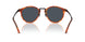 6404R5 - Brown - Blue